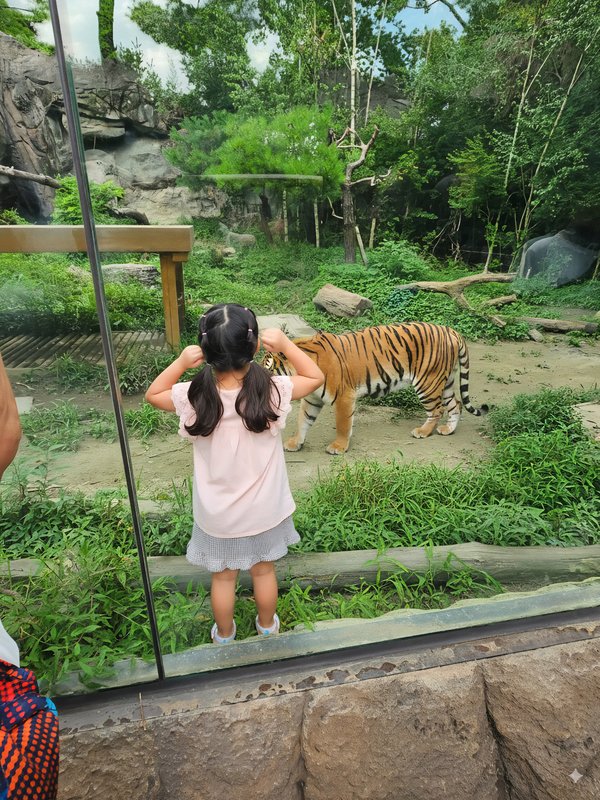 호랑이 우리 안에 들어간 아이