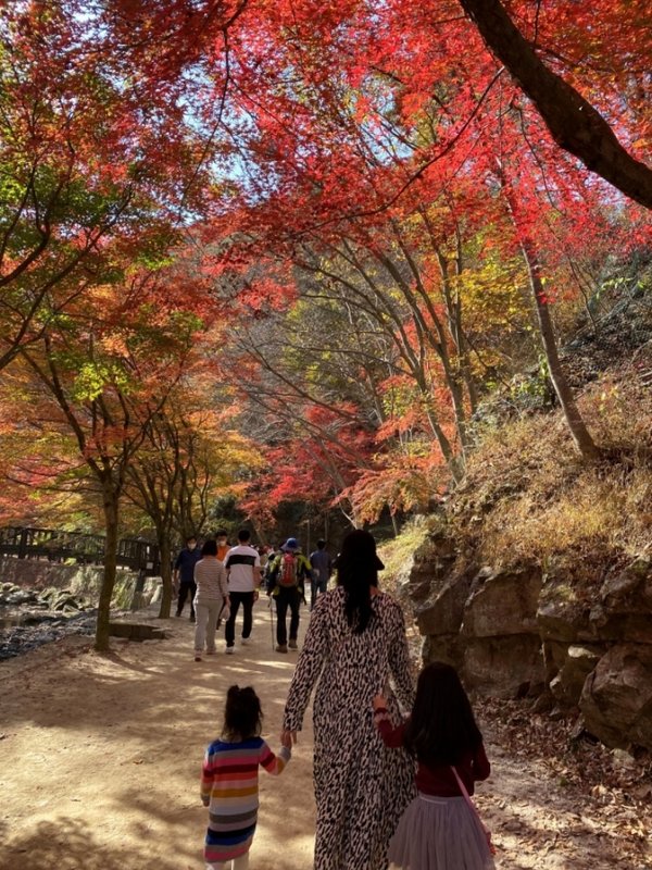 순창 강천산 단풍